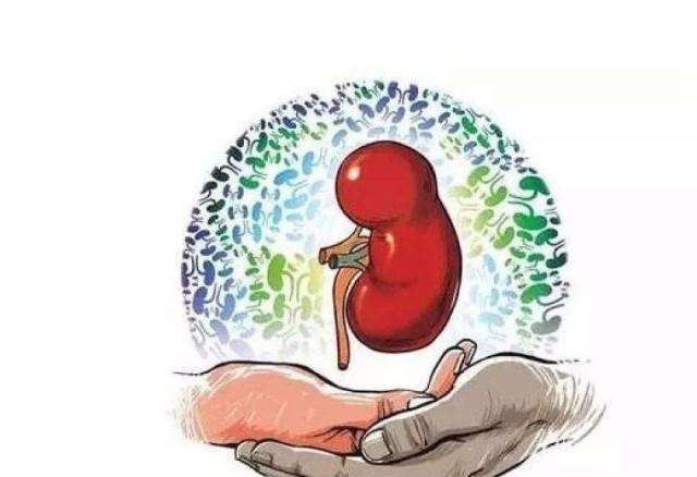 道医秘传补肾法，补肾养肾有奇效！