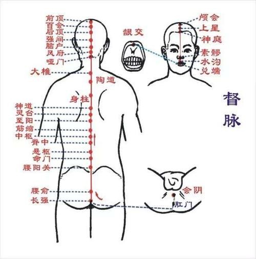 什么是真正的小周天？古法丹道小周天解秘！（含功法）
