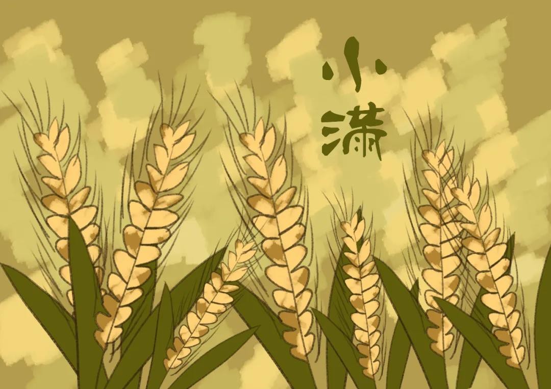 今日小满，振奋阳气的重要时刻，千万别错过！（附道家功法）