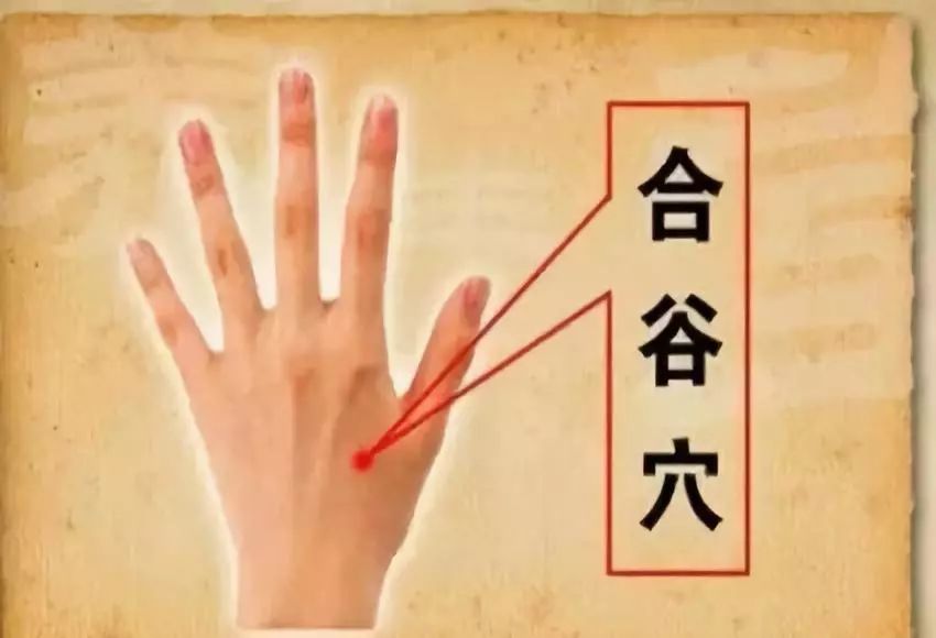人体自带的消炎穴、消气穴、排毒穴