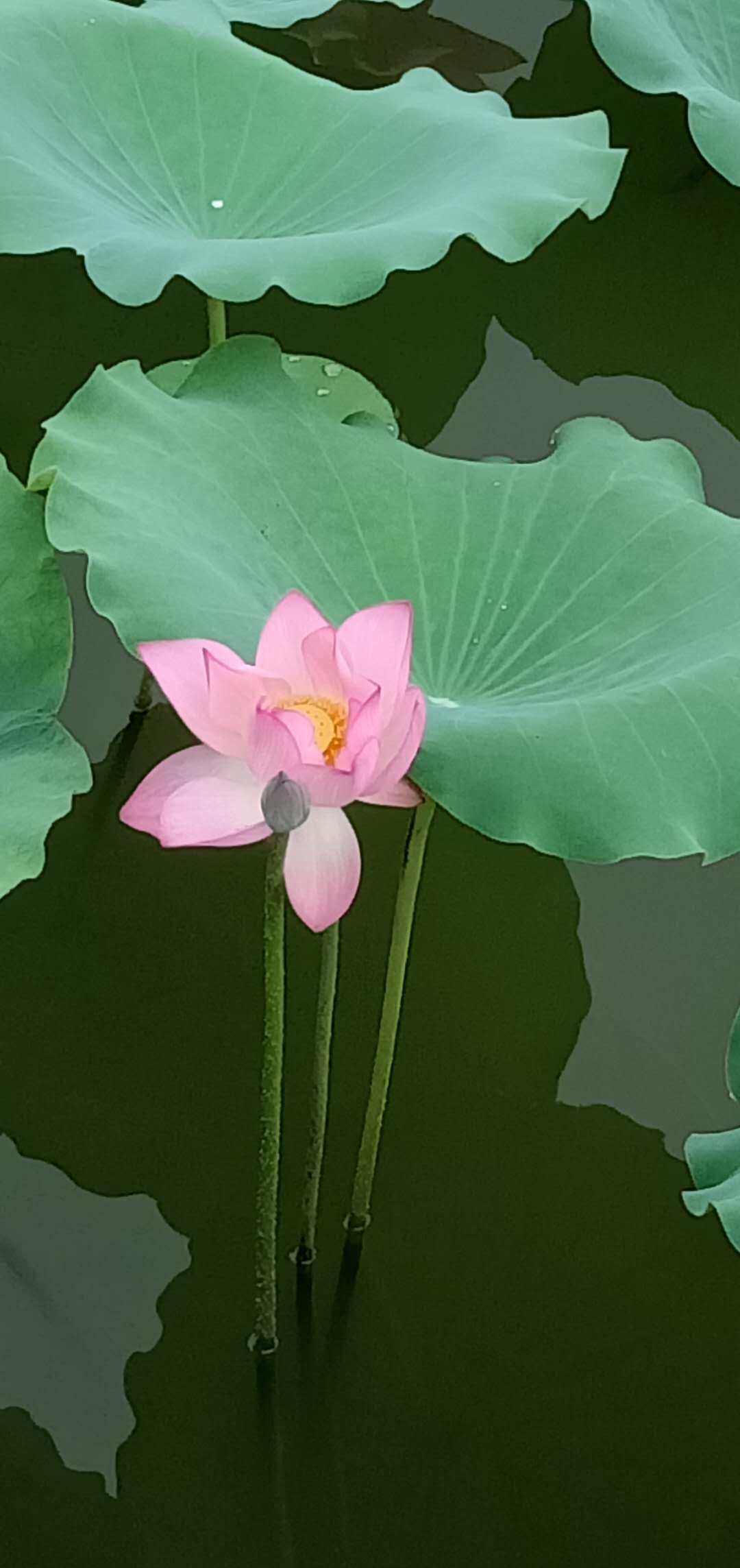 存思通神明！道教存思的三种修炼方法！