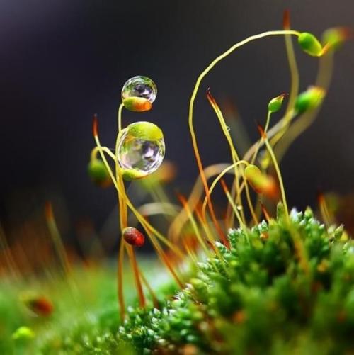 通灵有道术，法师是如何与鬼神沟通的？