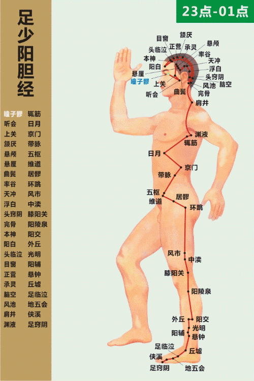 胆经不能随便敲，敲错反伤身！盲目跟风是养生一个误区！