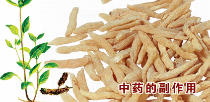 人参、三七粉也有副作用？带你揭秘这几种中药的副作用！