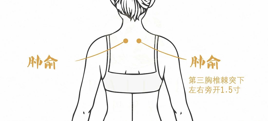 秋季养生“养肺”为先 ，这五点助你养出好肺！