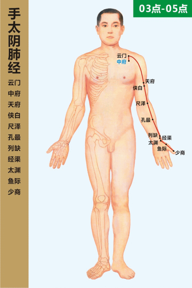 手臂有个补肾穴，每天揉两次，好处谁揉谁知道 ！