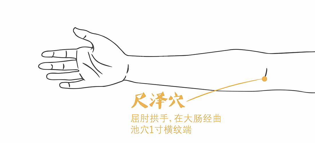 手臂有个补肾穴，每天揉两次，好处谁揉谁知道 ！