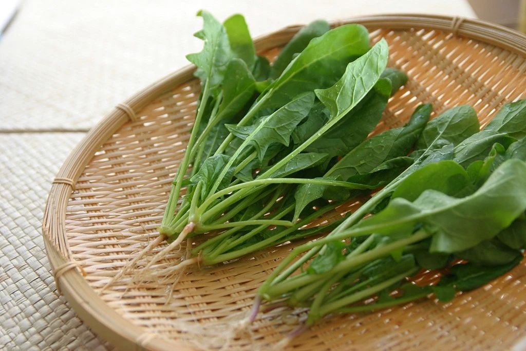 最补气血的食物前十名，红枣只能排第七！每天一茶一汤，养出好气色！
