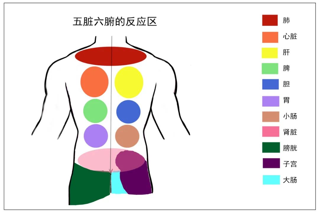 秋后养背，人活百岁！教你几招，养好腰背，阳气十足！